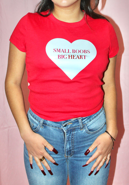 Small/Big Boobs, Big Heart T-Shirt