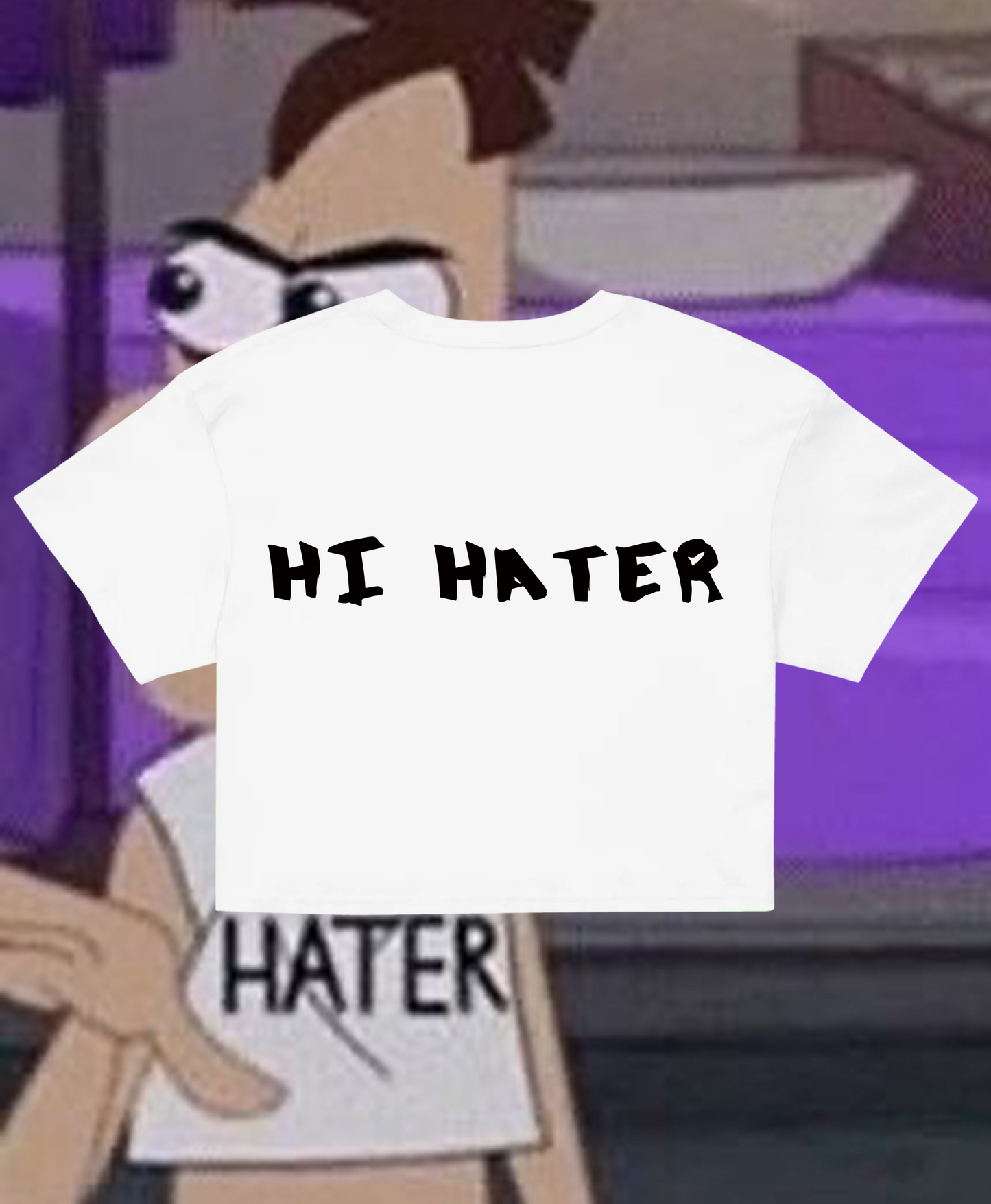 Hi Hater, Bye Hater T-Shirt